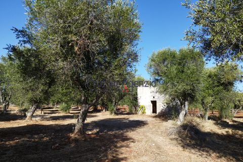 Landejendom i Ostuni, Brindisi, Ostuni - € 90.000 | Ref: 172622 - foto 11